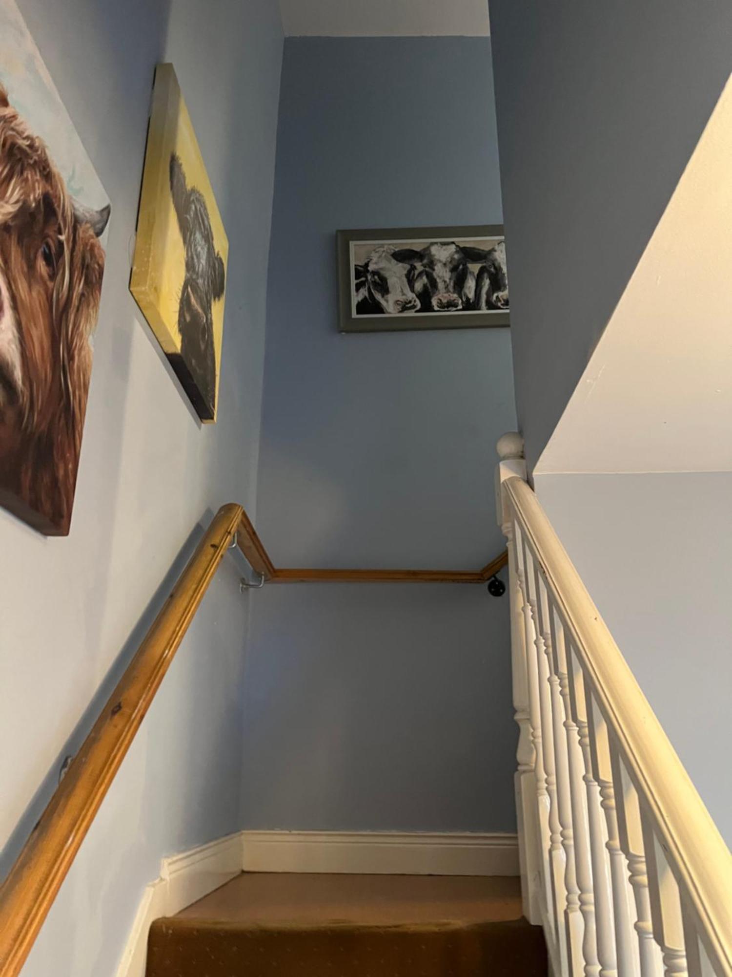 11 Parkmore Street, Ormeau Road, Belfast, Bt7 2Gt, 2 Bedroom House מראה חיצוני תמונה